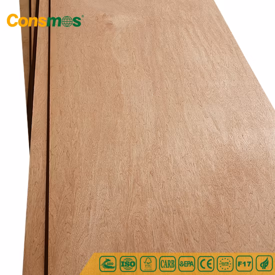 Muebles de madera contrachapada/contrachapado comercial/madera contrachapada con precio competitivo